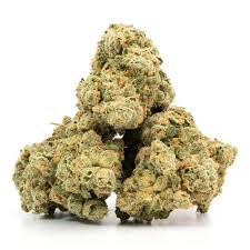 Organic Star Berry Sour Sativa